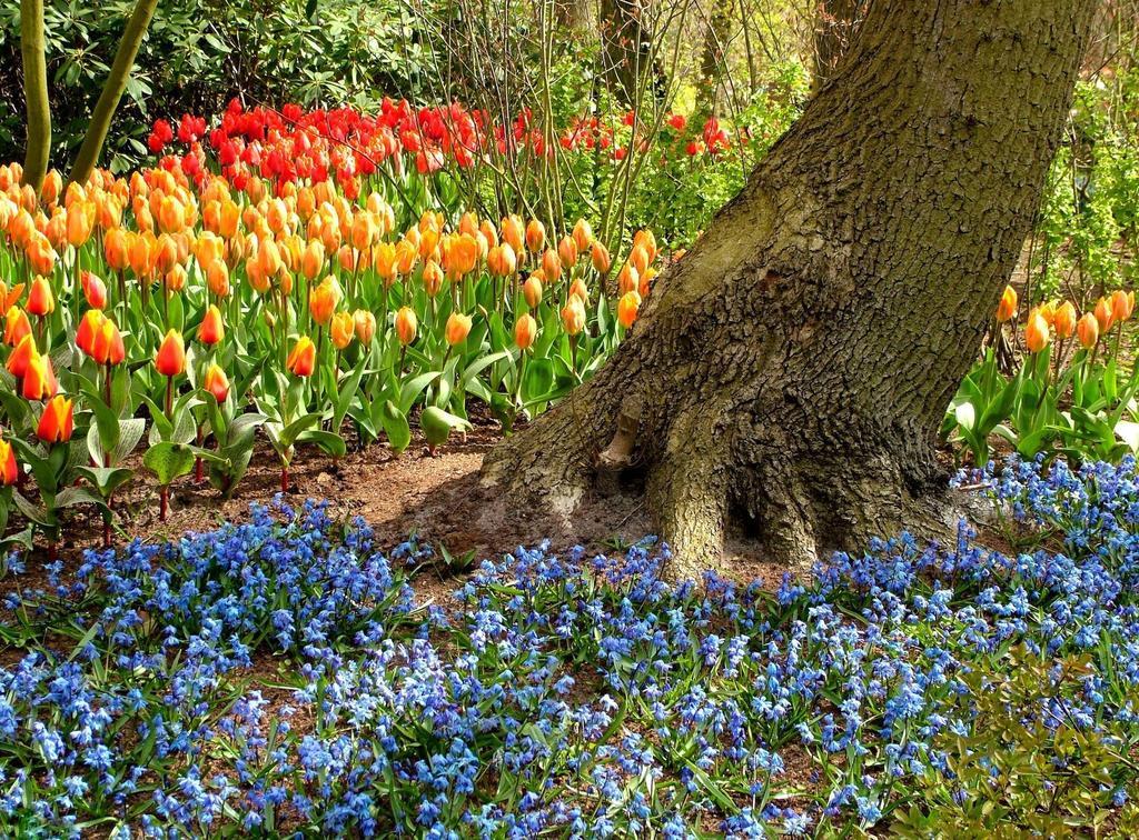 Kien Bed & Breakfast Studio'S Amsterdam Buitenkant foto